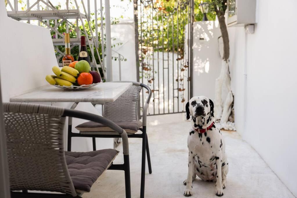 Villa Artemis Cycladic Charmed ! Atene Esterno foto